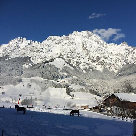 Stockingbauer Villa Leogang Luaran gambar