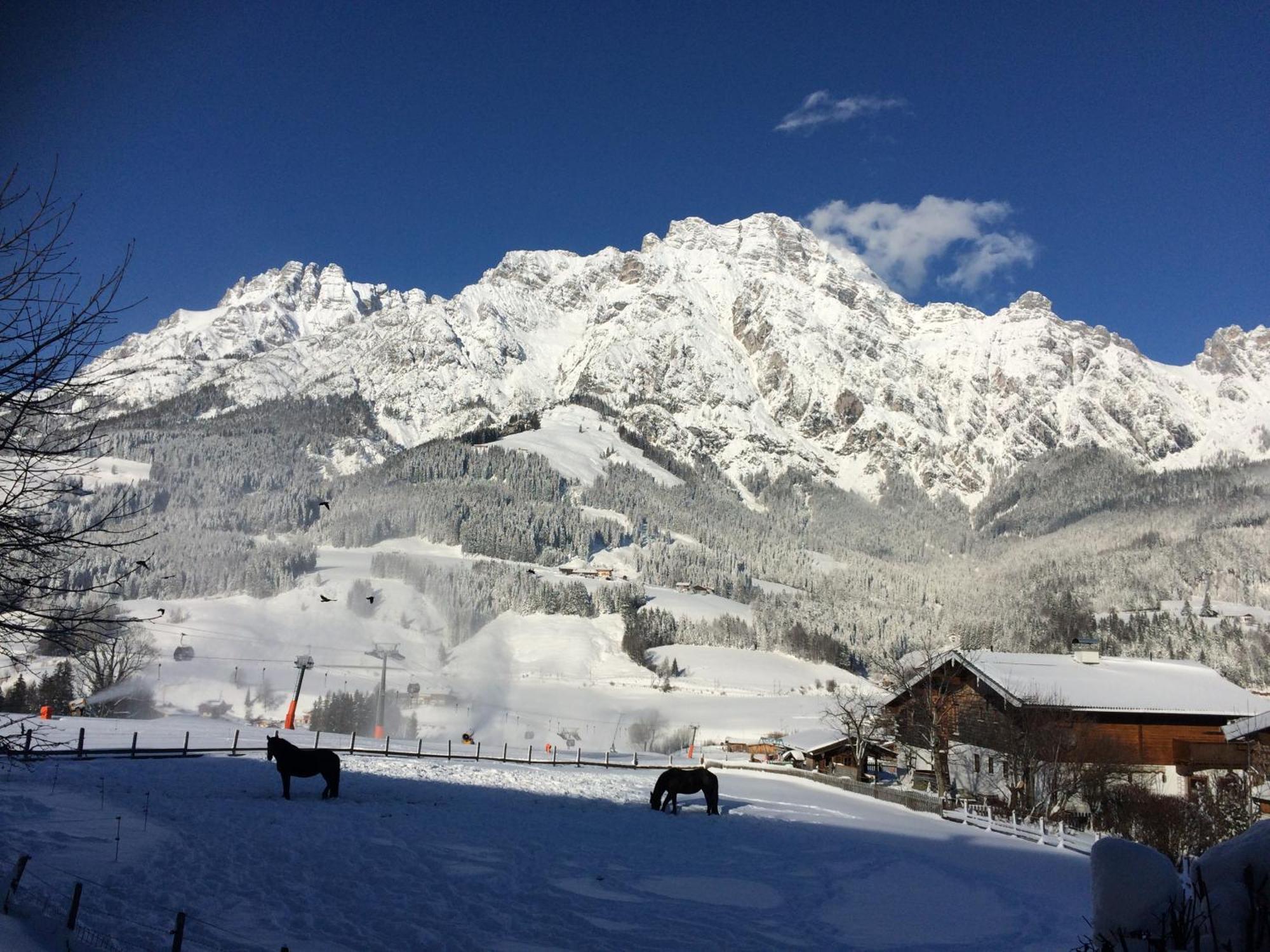 Stockingbauer Villa Leogang Luaran gambar