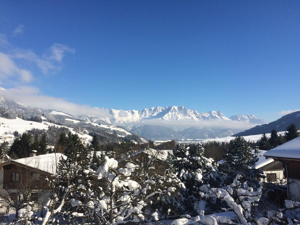 Stockingbauer Villa Leogang Luaran gambar